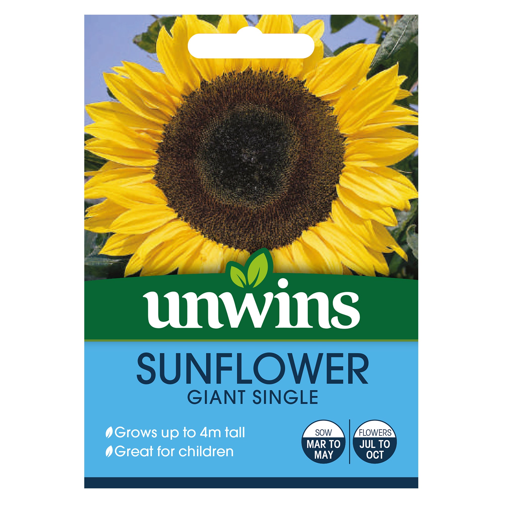 Sunflower Giant Single