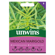 Herb Mexican Marigold