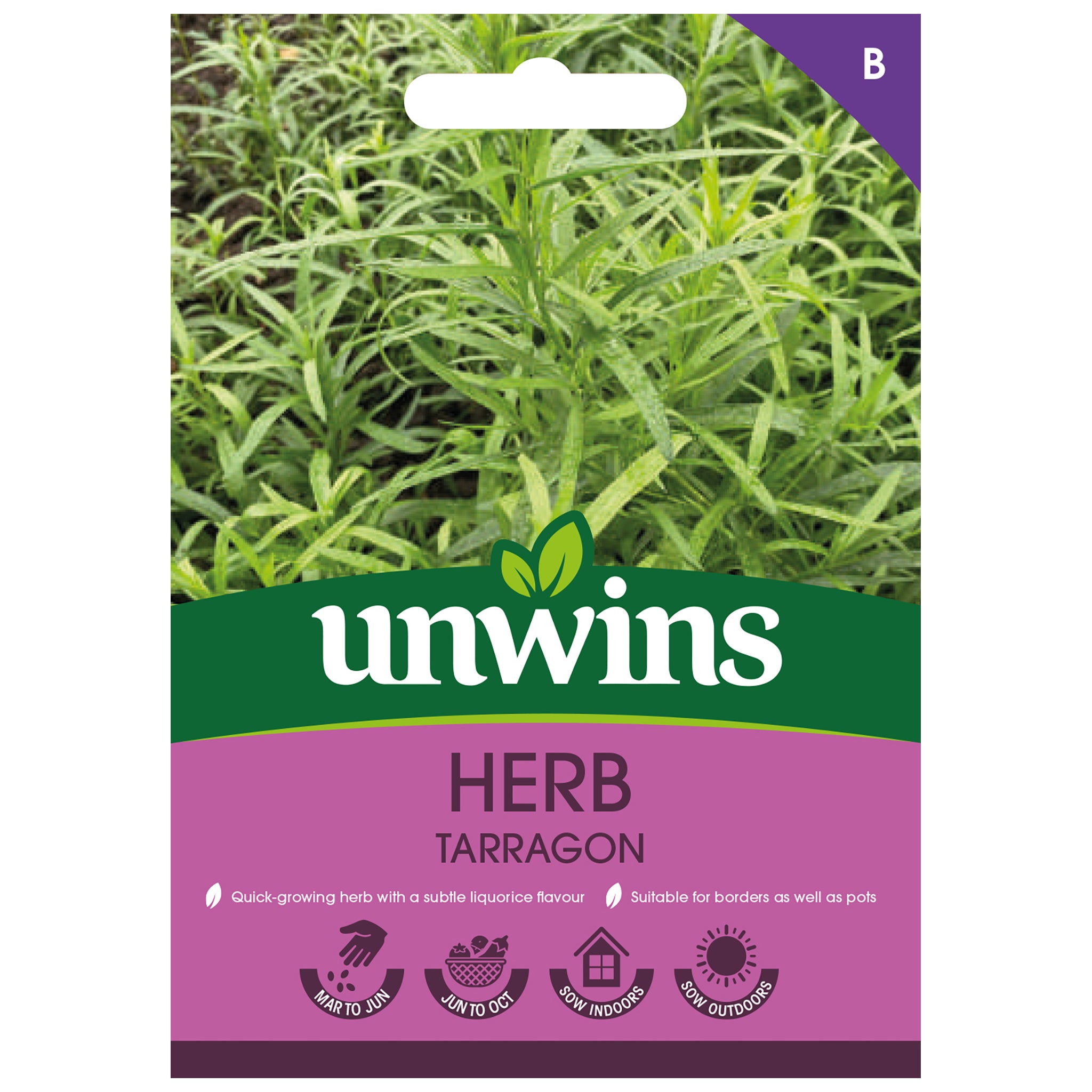 Herb Tarragon