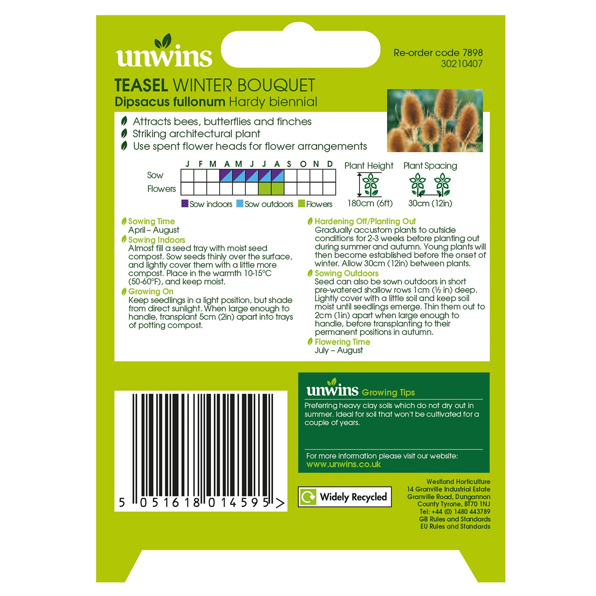 NH Teasel Winter Bouquet