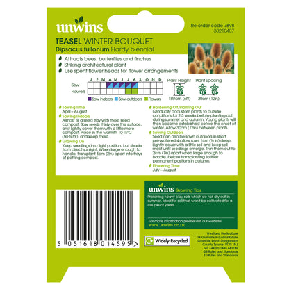 NH Teasel Winter Bouquet