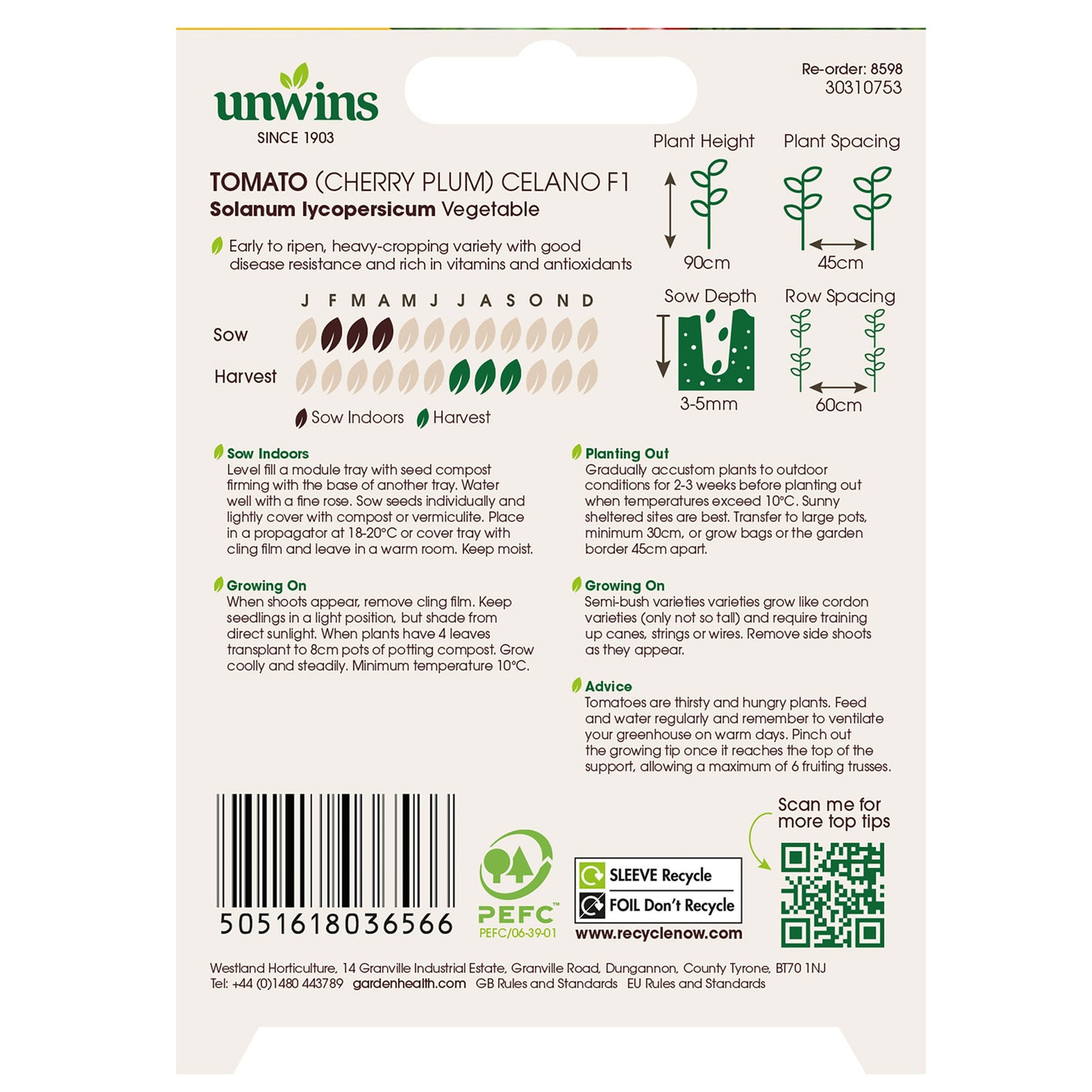 Tomato (Cherry Plum) Celano F1