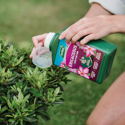 Westland Ericaceous High Performance Liquid Feed 1L
