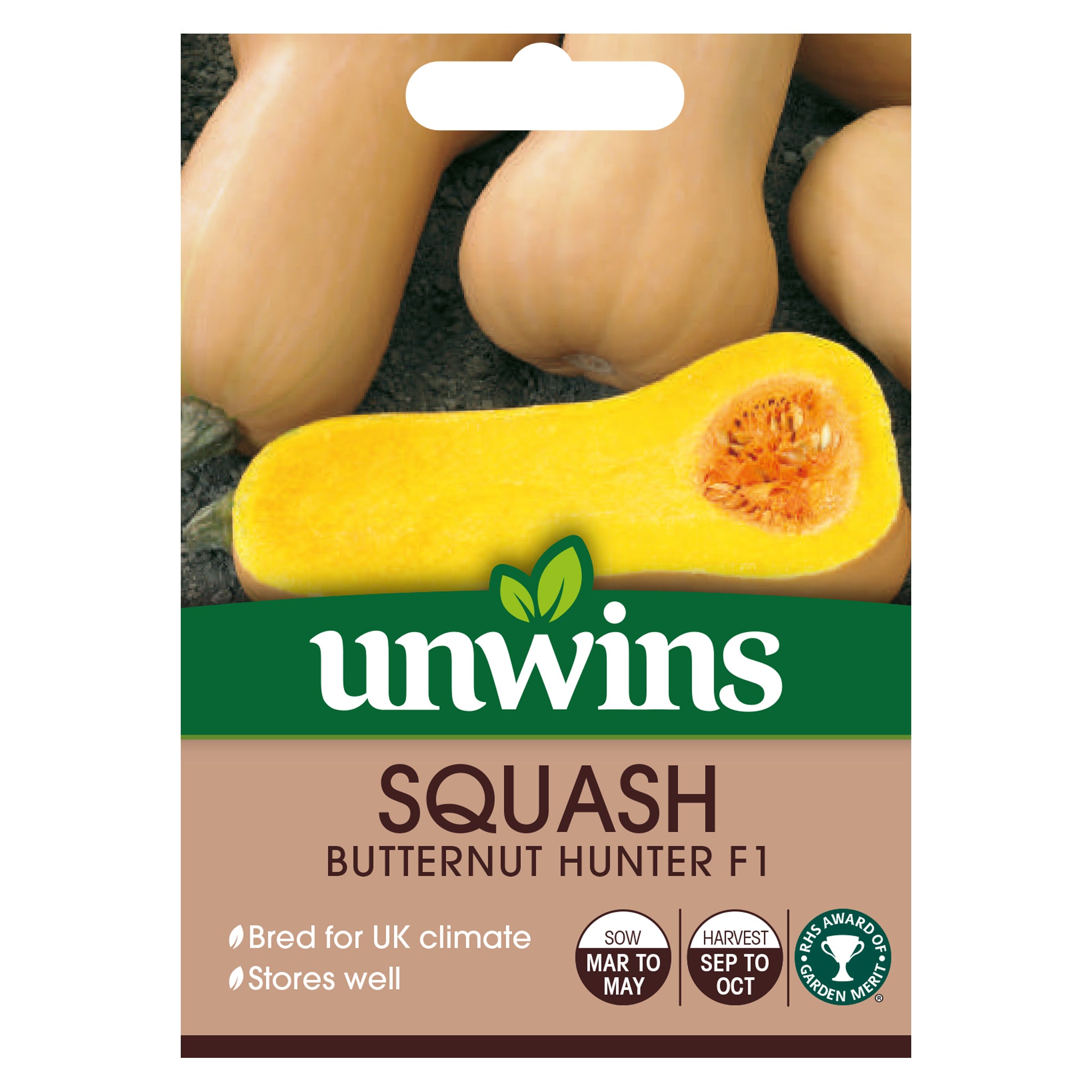 Squash (Butternut) Hunter F1