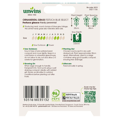 Ornamental Grass Festuca Blue Select
