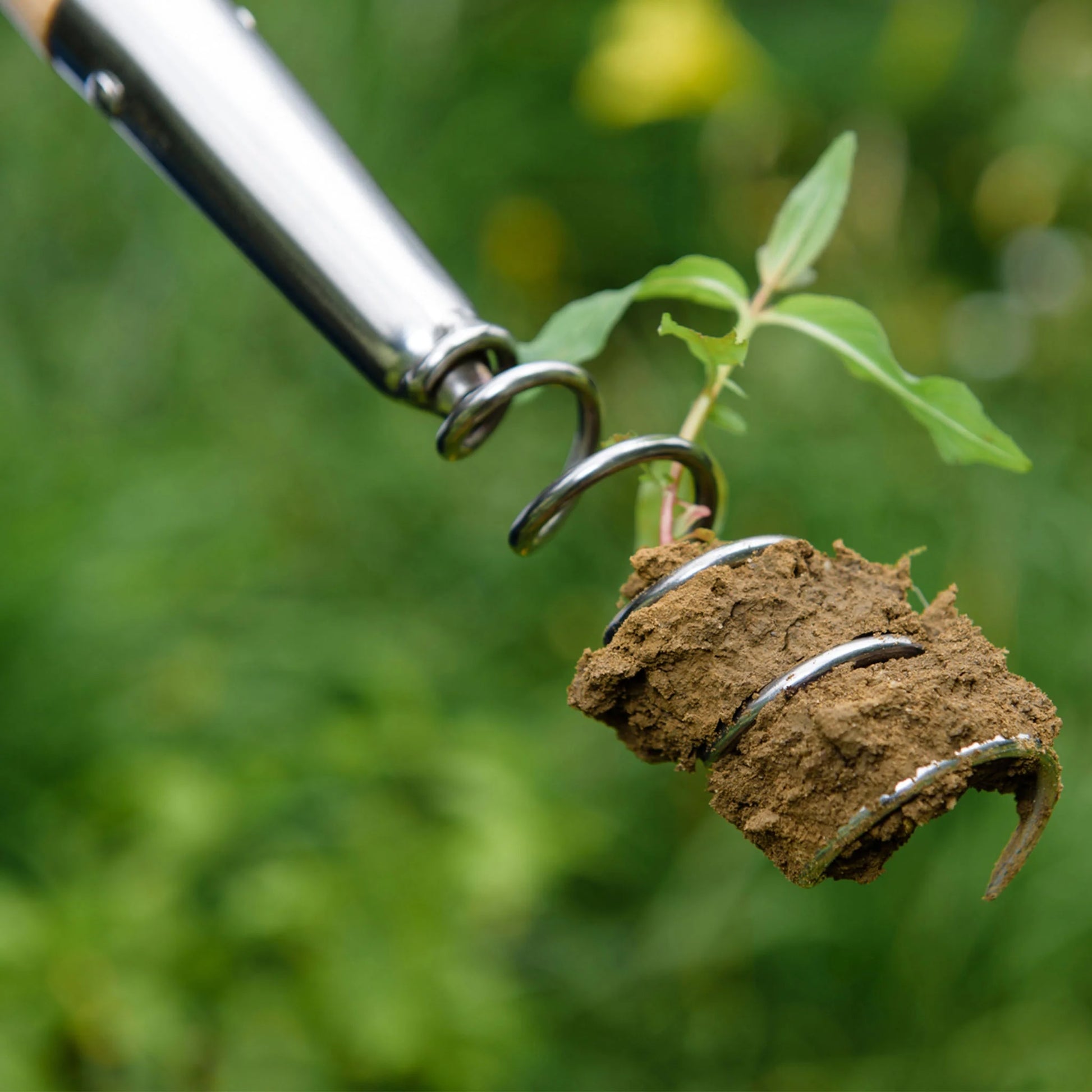 Kent & Stowe Stainless Steel Long Handled Corkscrew Weeder