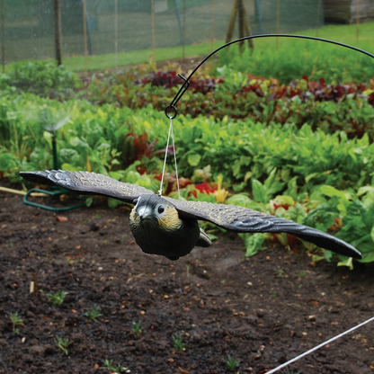 The Big Cheese Flying Falcon