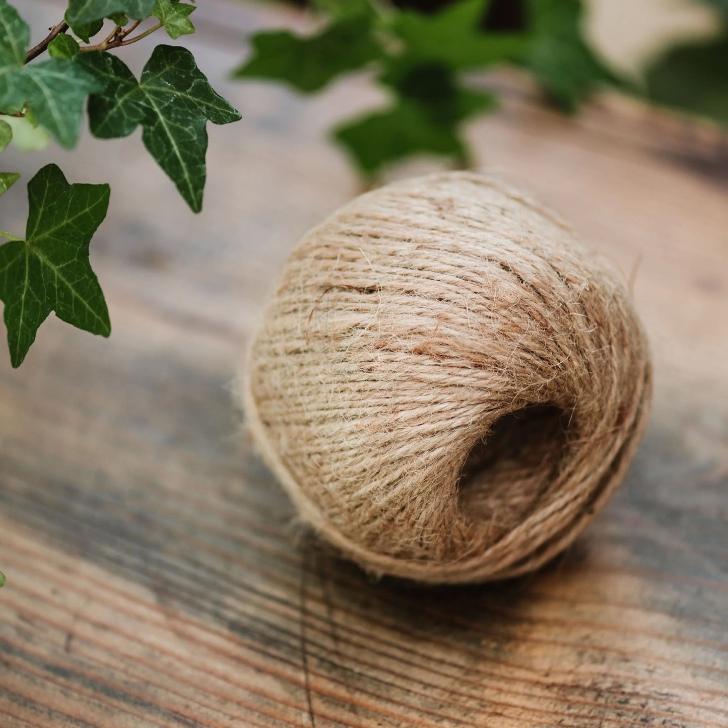 Kent & Stowe Jute Twine Natural 80m