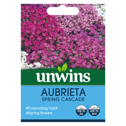 Aubrieta Spring Cascade