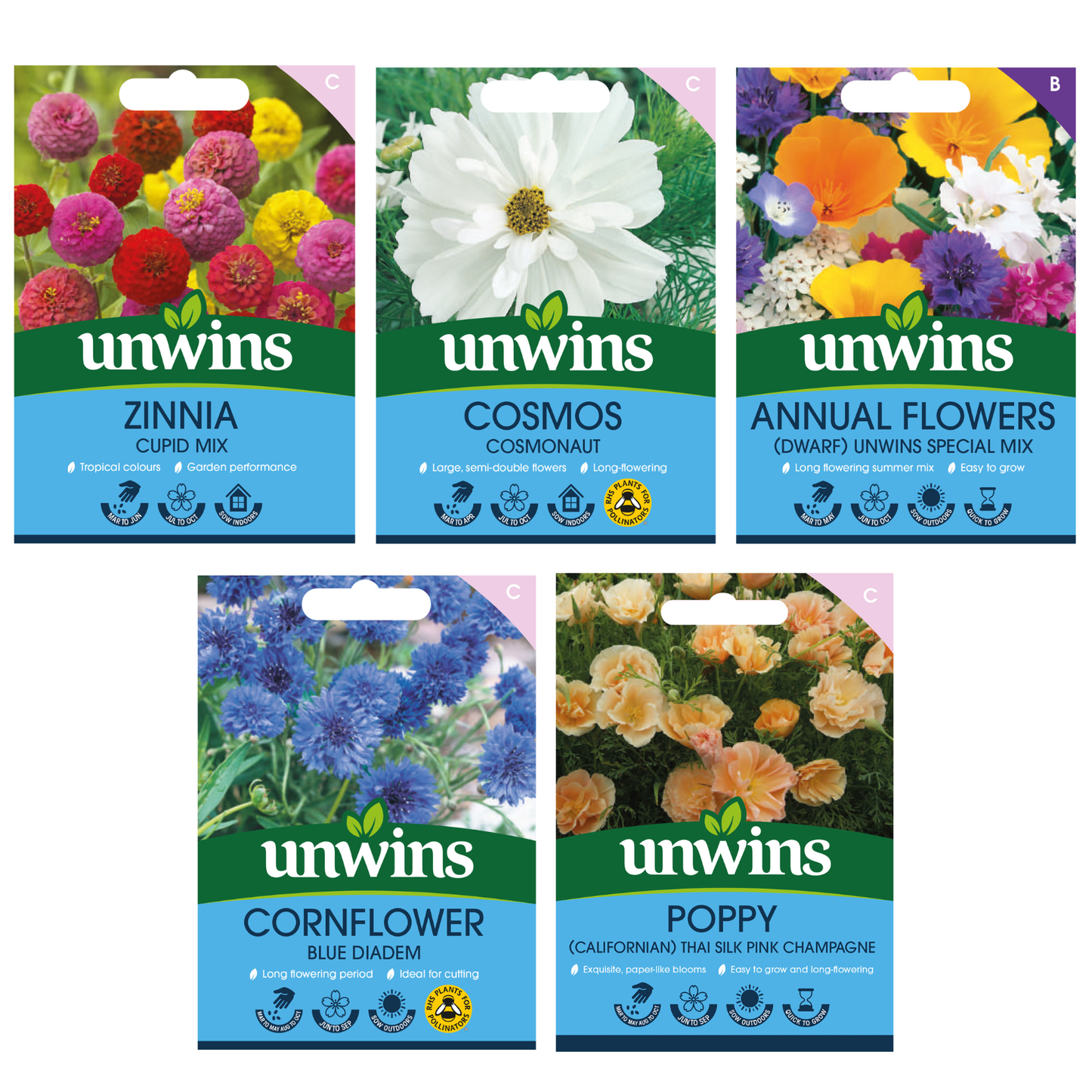 Unwins Easy Annuals Seed Bundle for Beginners