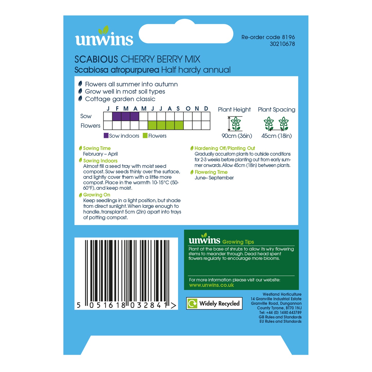 Scabious Cherry Berry Mix