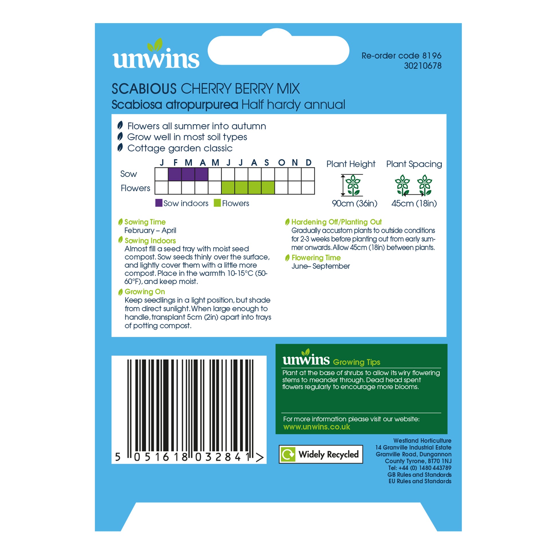 Scabious Cherry Berry Mix