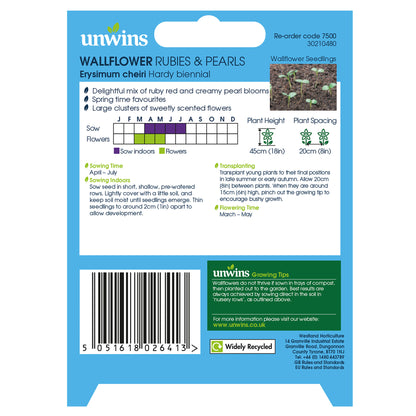 Wallflower Rubies & Pearls