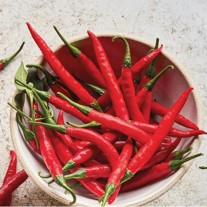 Pepper (Chilli) Reggae