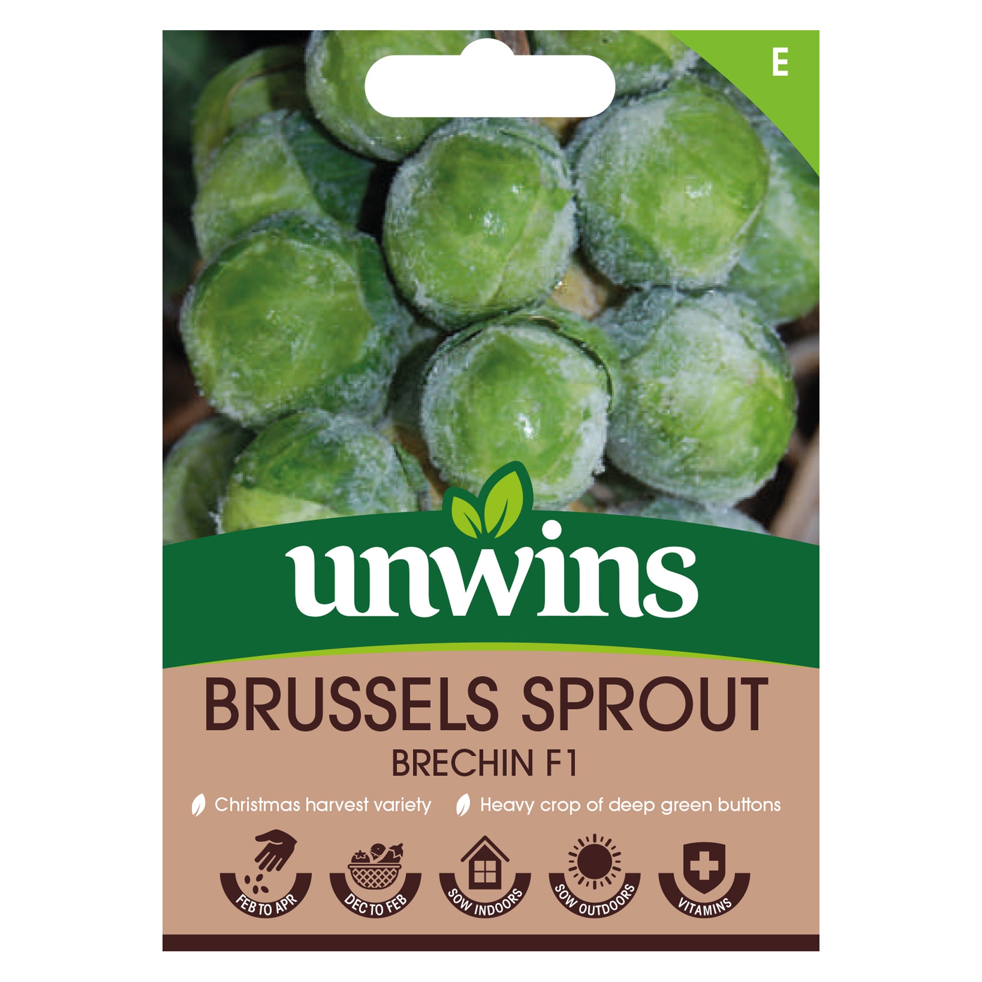 Brussels Sprout Brechin F1