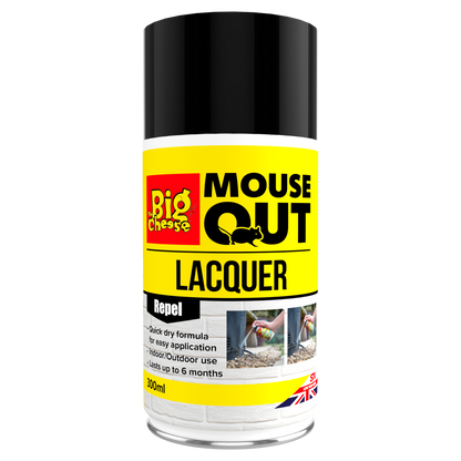 The Big Cheese Peppermint Lacquer 300ml Aerosol