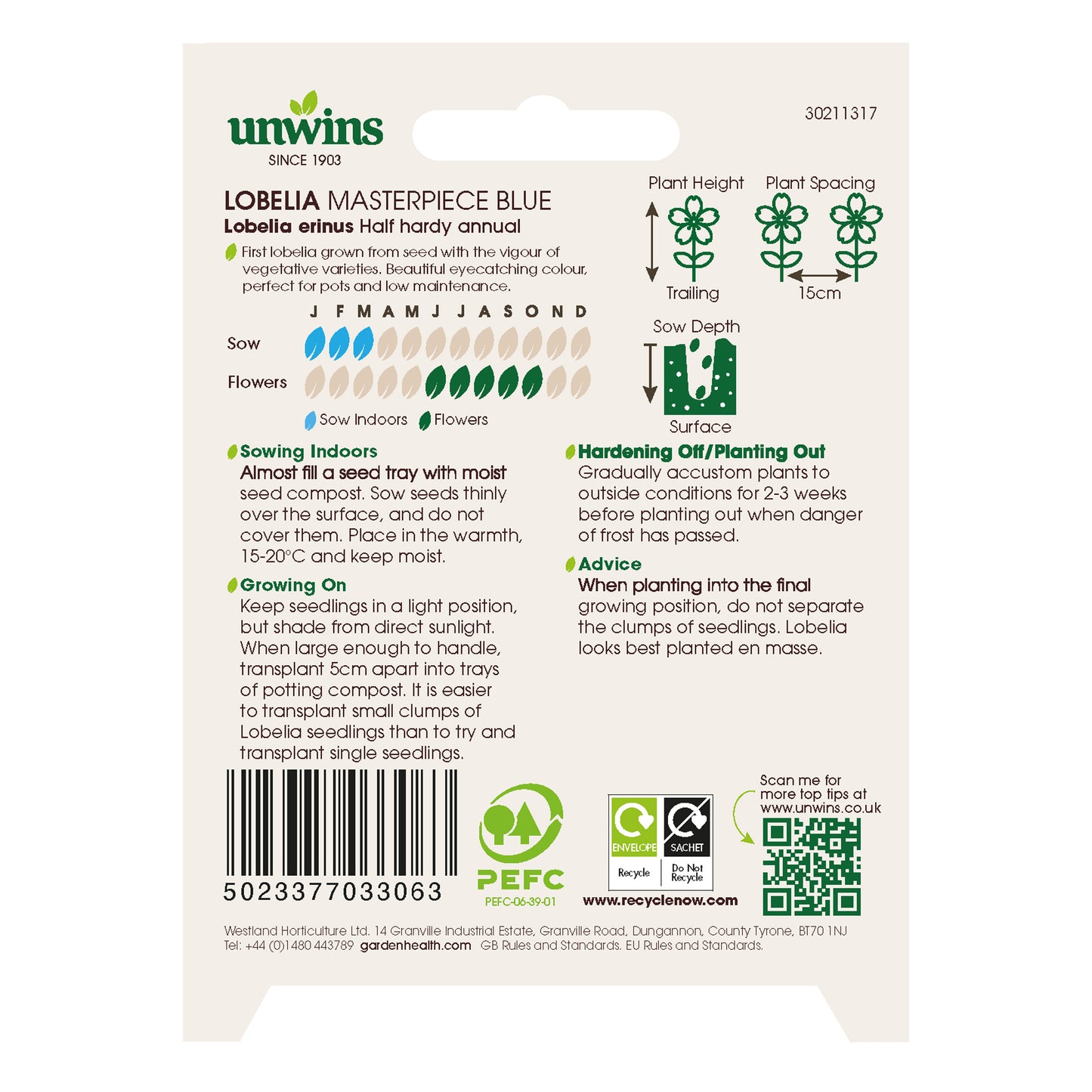 Lobelia Masterpiece Blue