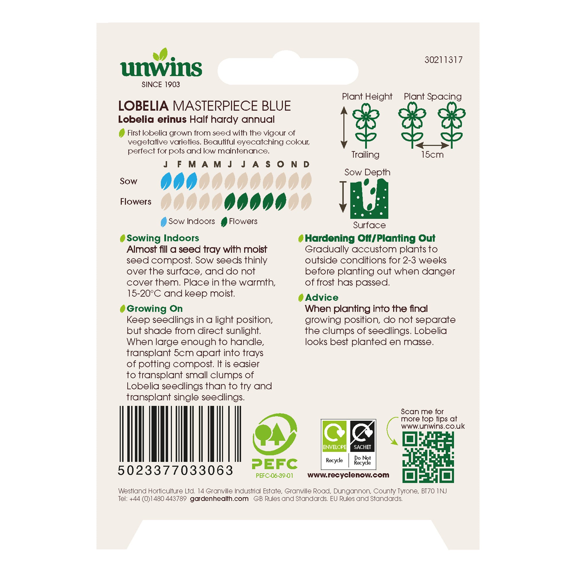 Lobelia Masterpiece Blue