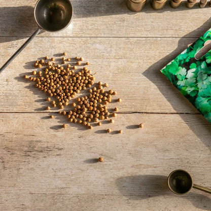 Herb Coriander Cruiser