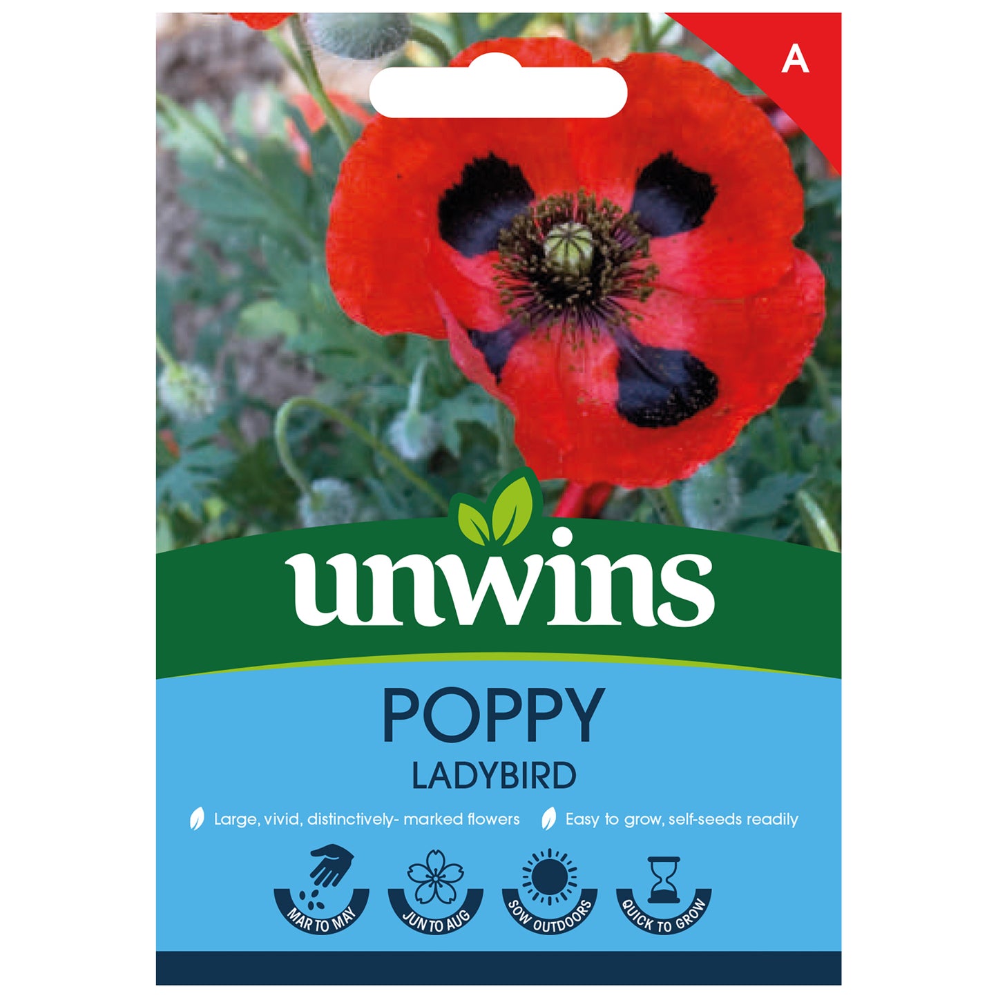Poppy Ladybird