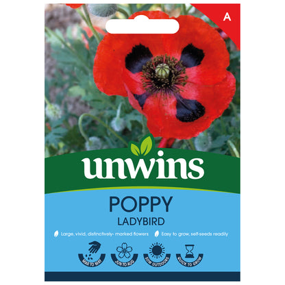 Poppy Ladybird