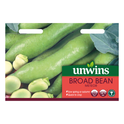 Broad Bean Meteor