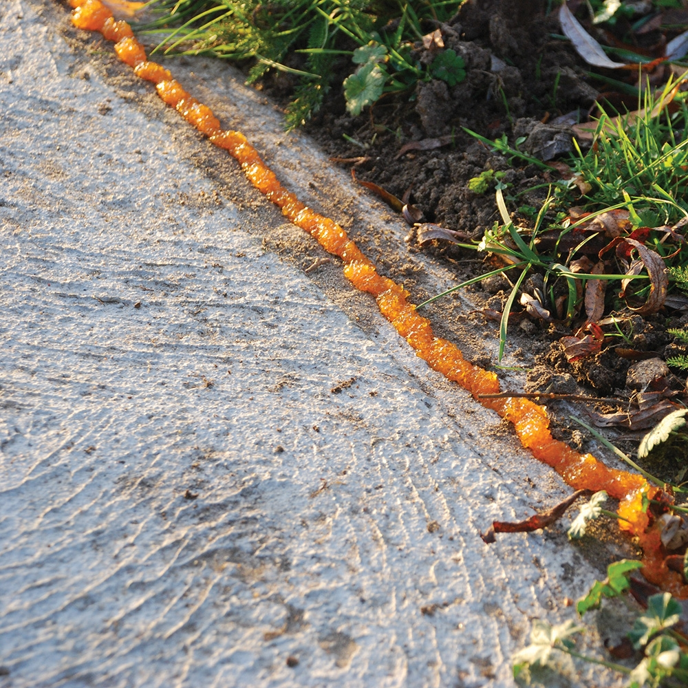 The Big Cheese Cat & Dog Crystal Gel 450ml