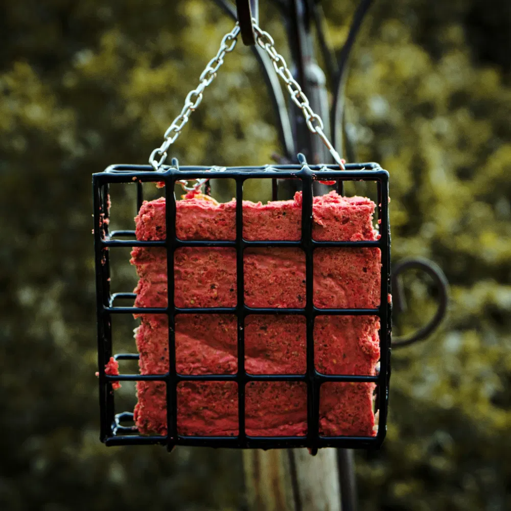 Copdock Mill Suet Cake Tray Berry 10pk 3kg
