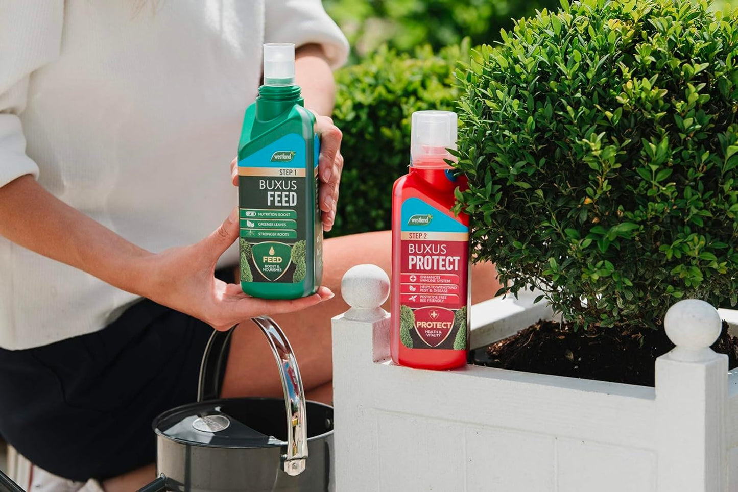 Westland 2 in1 Feed and Protect Buxus 2 x 500ml
