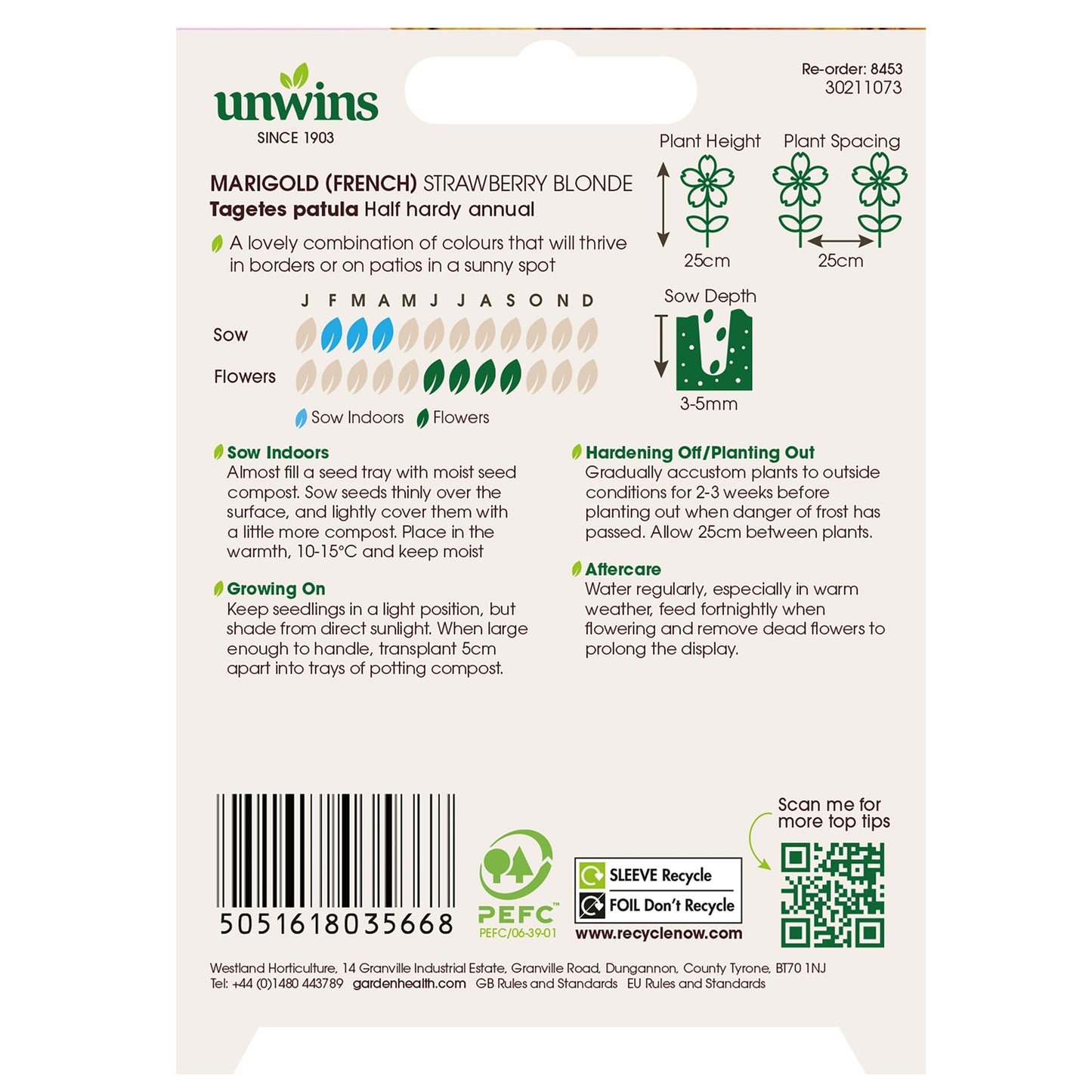 Marigold (French) Strawberry Blonde