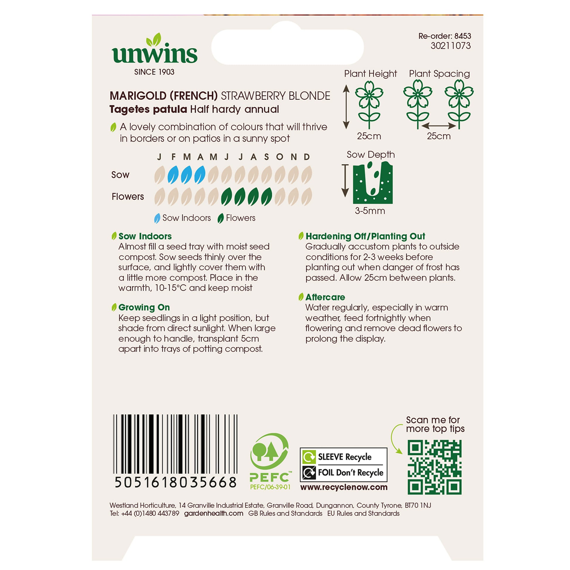 Marigold (French) Strawberry Blonde