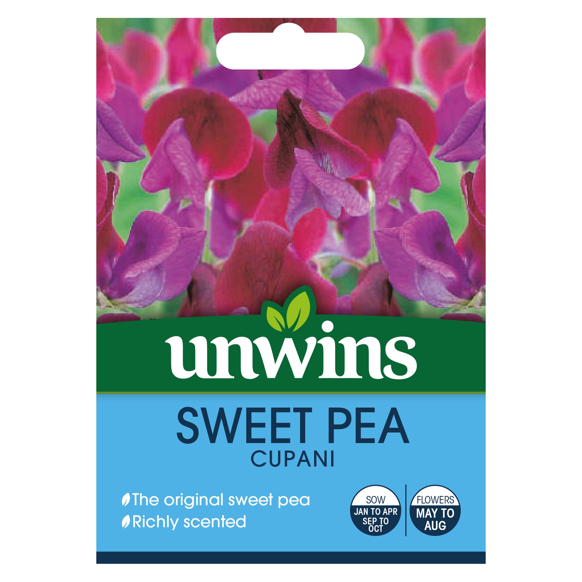 Sweet Pea Cupani