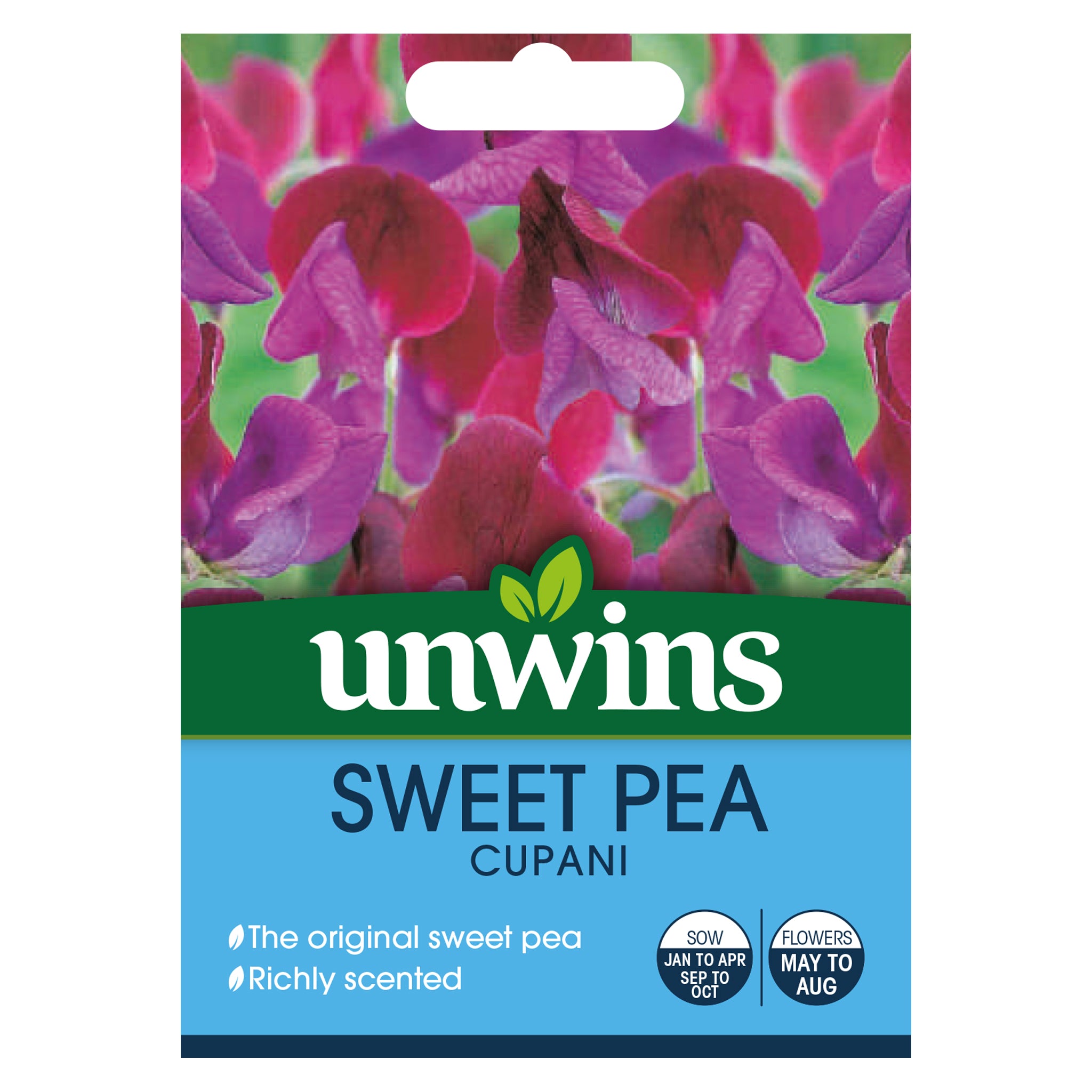 Sweet Pea Cupani