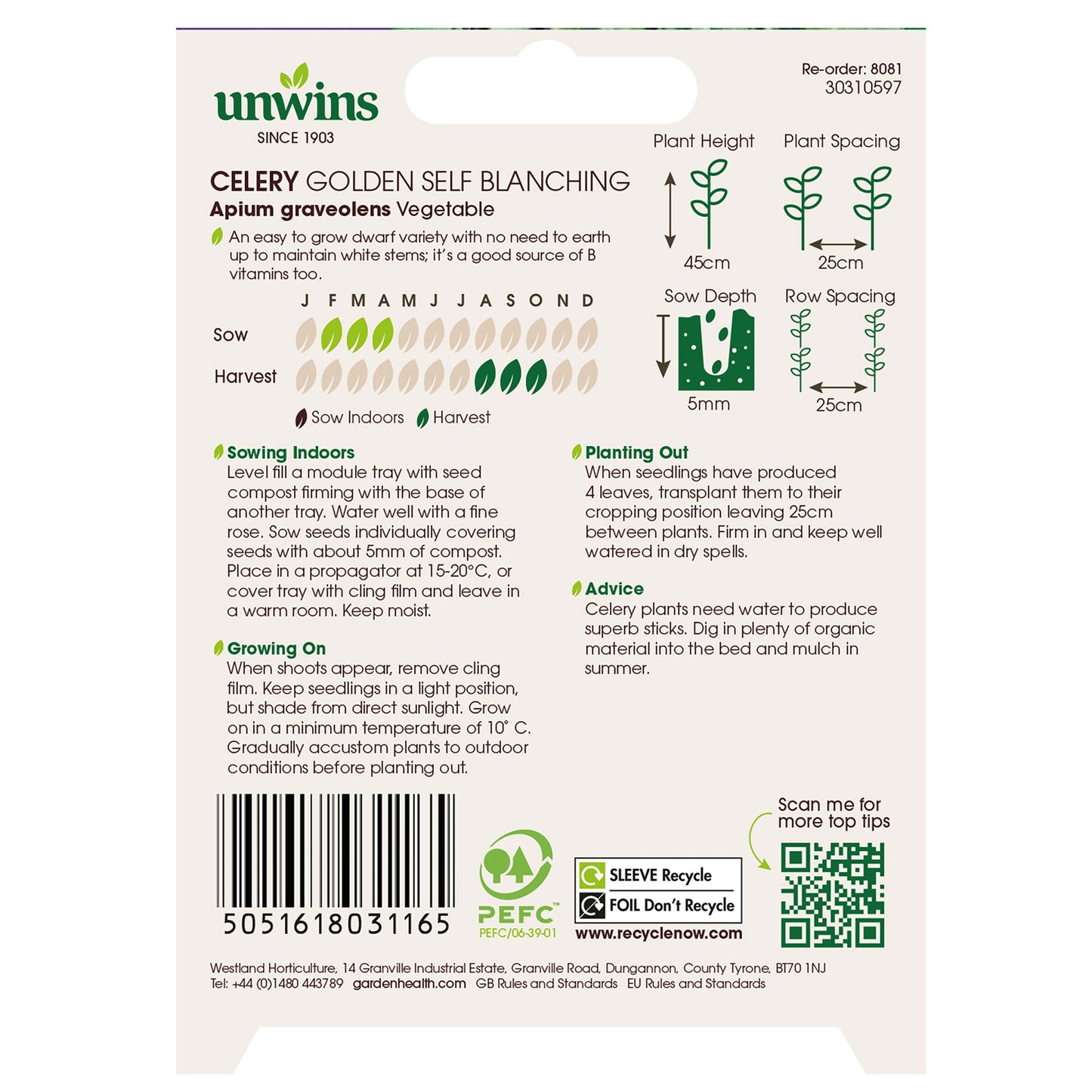 Celery Golden Self Blanching