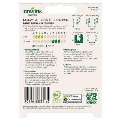 Celery Golden Self Blanching