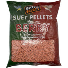 Extra Select Suet Pellets Complementary Wild Bird Food Berry Refill 3kg