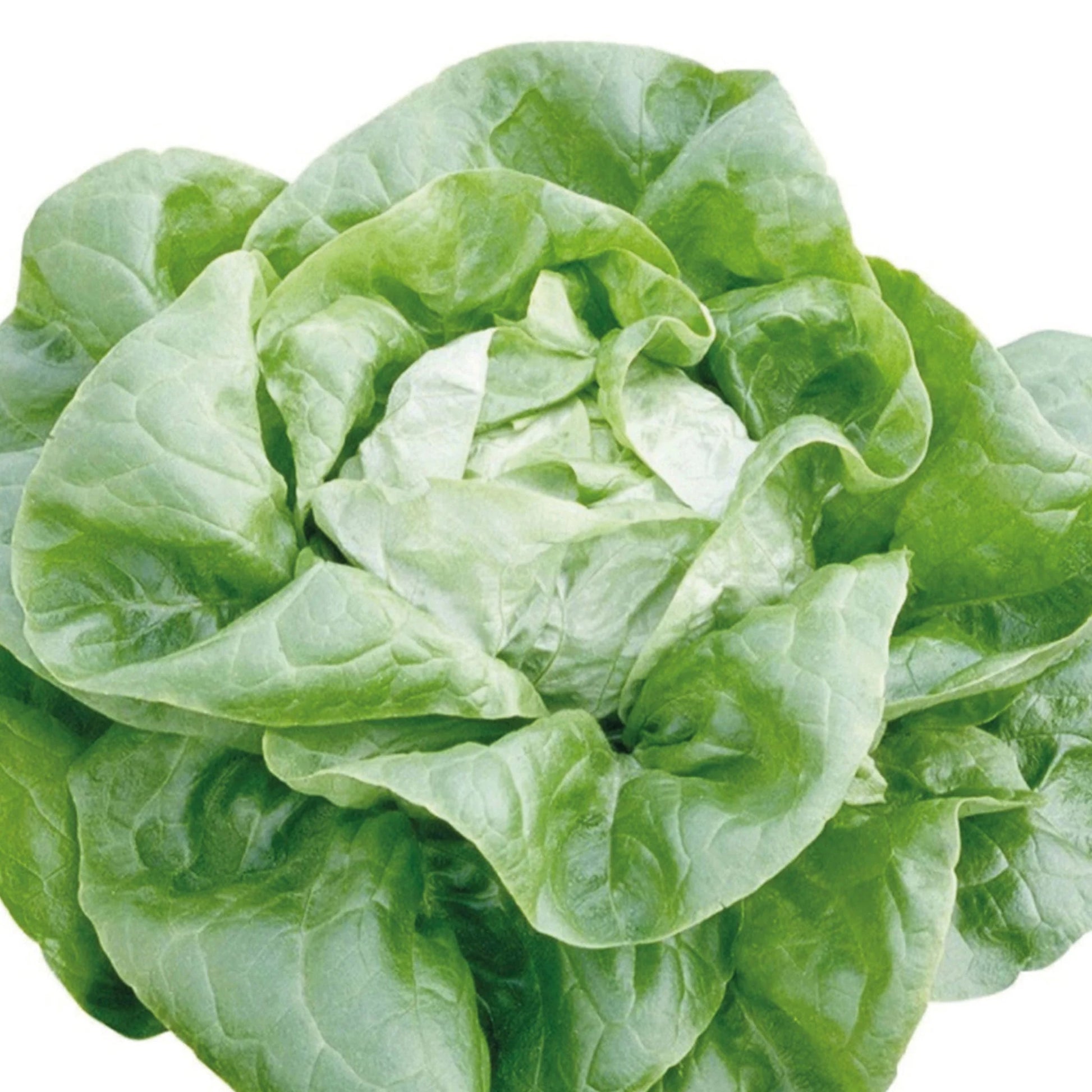 Unwins Seeds - Organic