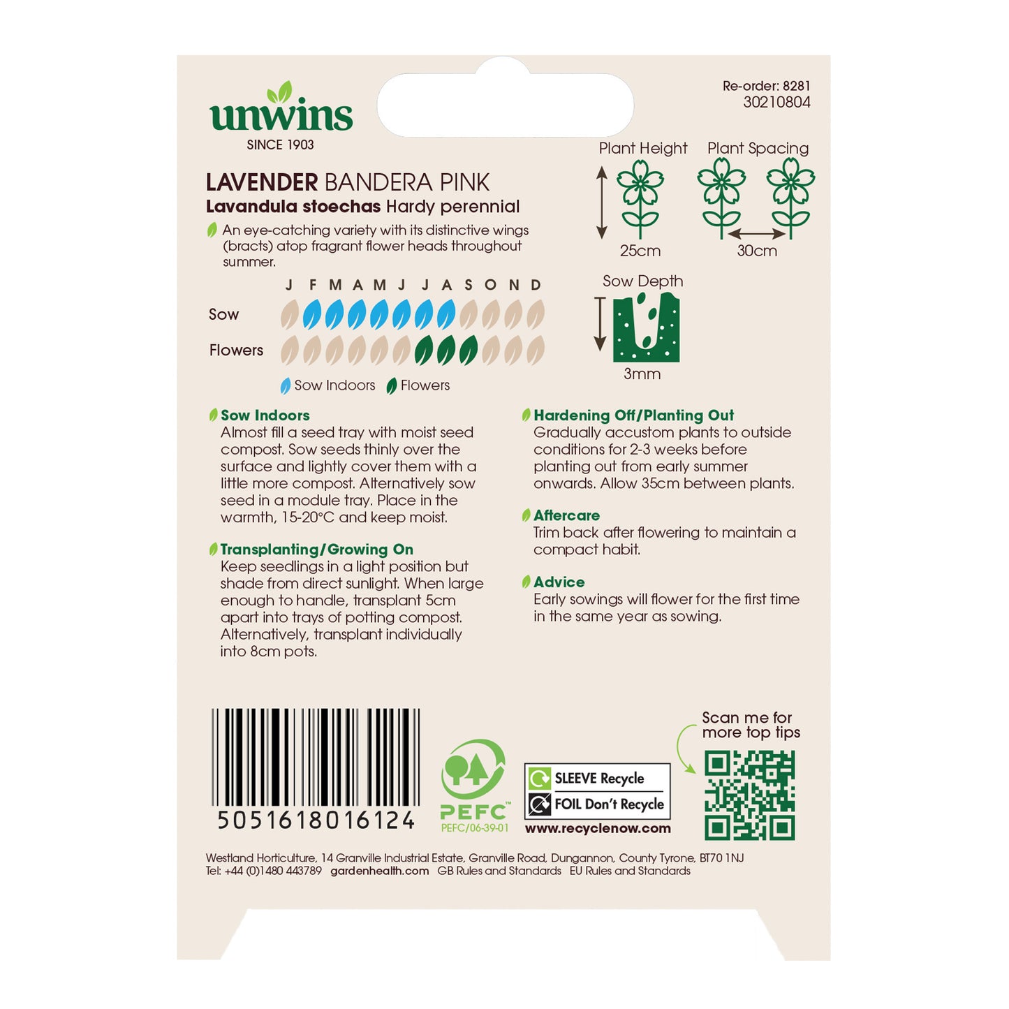 Lavender Bandera Deep Pink