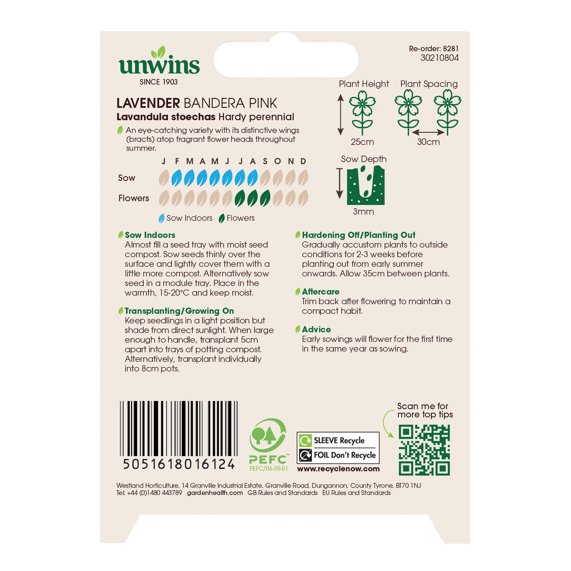 Lavender Bandera Deep Pink