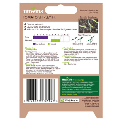 Tomato (Salad) Shirley F1