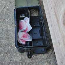 The Big Cheese Mouse & Rat Killer Pasta Bait Sachets