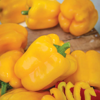 Pepper (Sweet) Afterglow