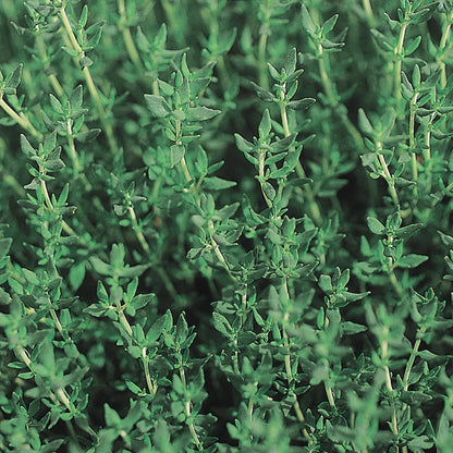 Unwins Seeds - Organic