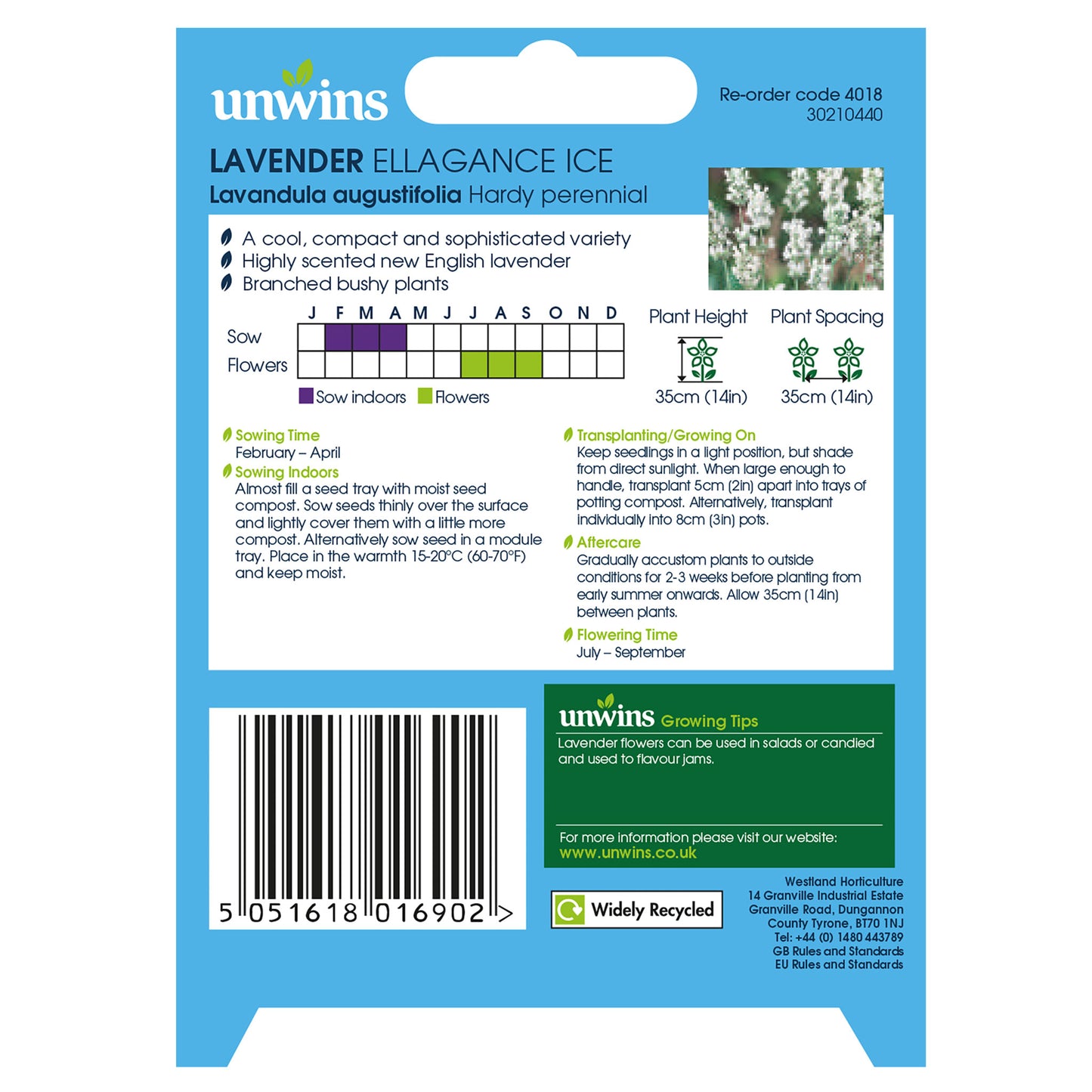 Lavender Ellagance Ice