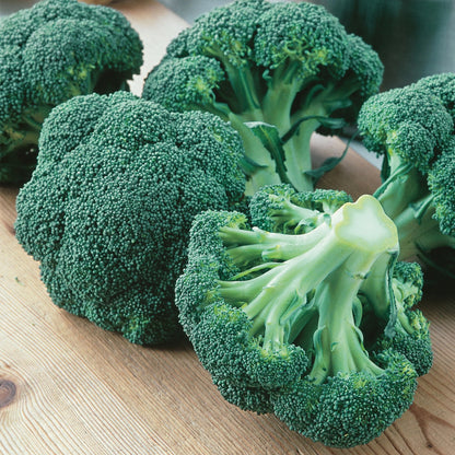 Broccoli (Calabrese) Green Magic