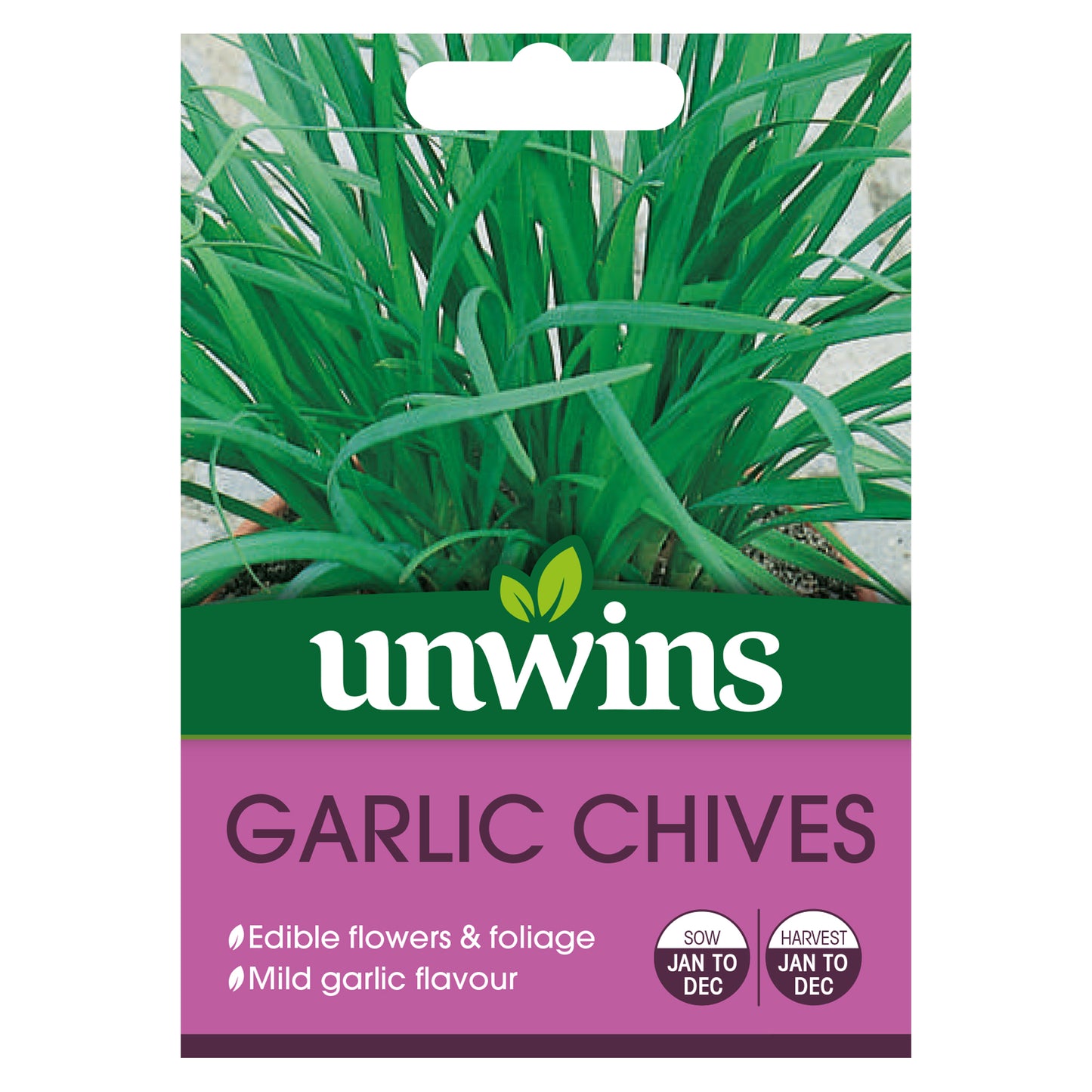 Herb Garlic Chives