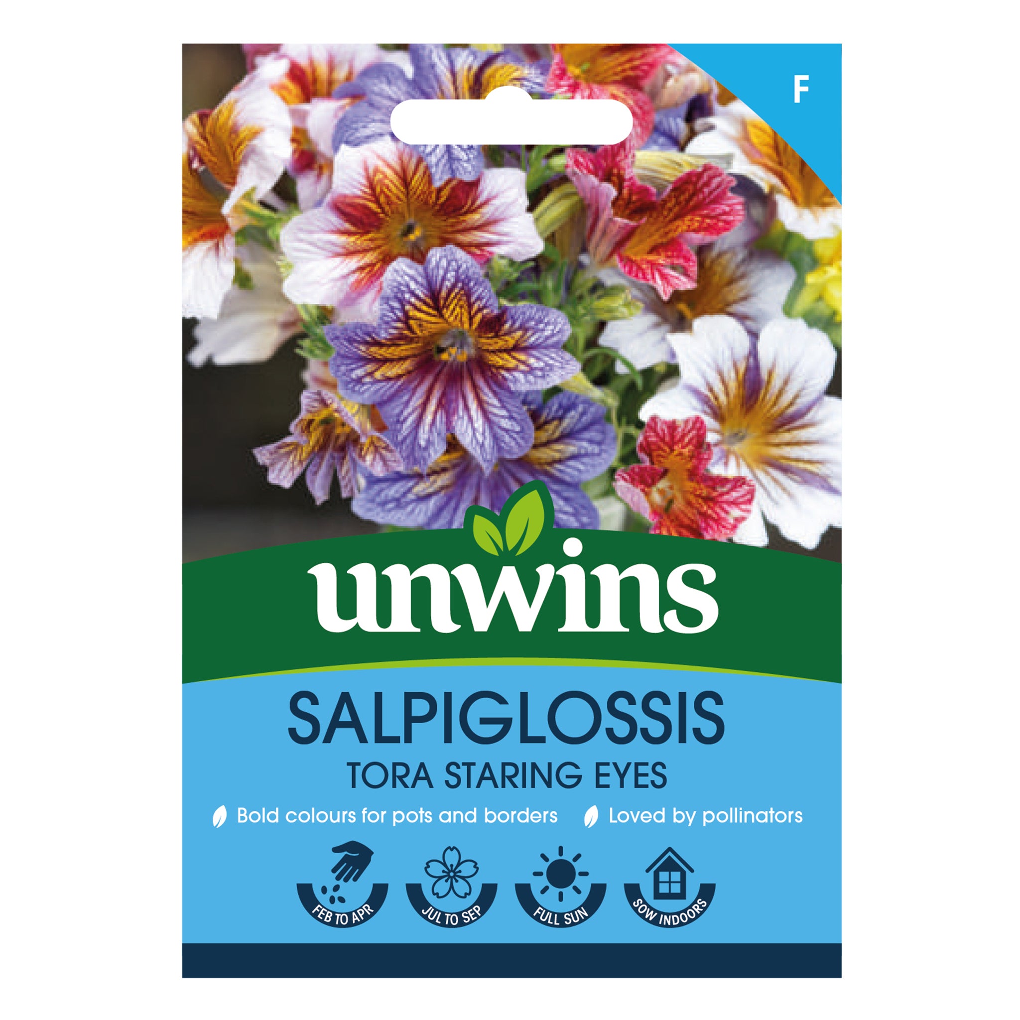 Salpiglossis Tora Staring Eyes