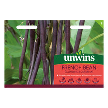 French Bean (Climbing) Carminat