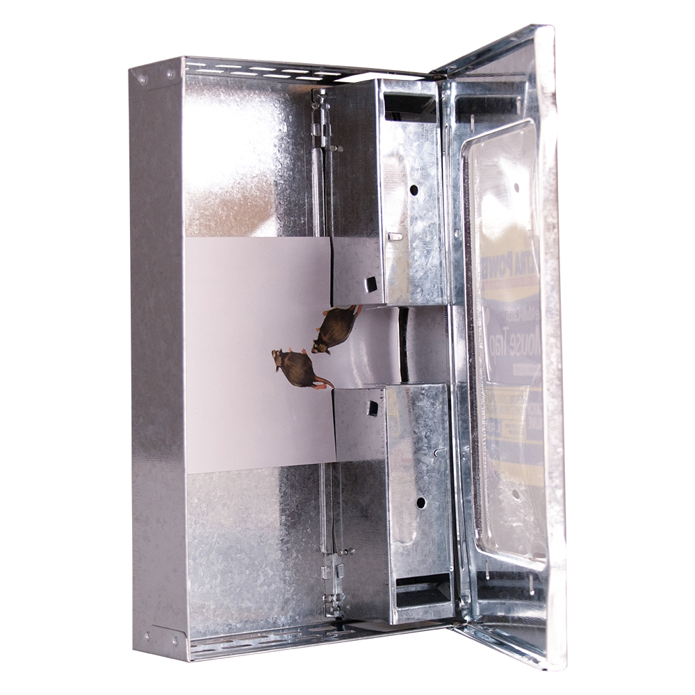 The Big Cheese Ultra Power Live Multi-Catch Mouse Trap