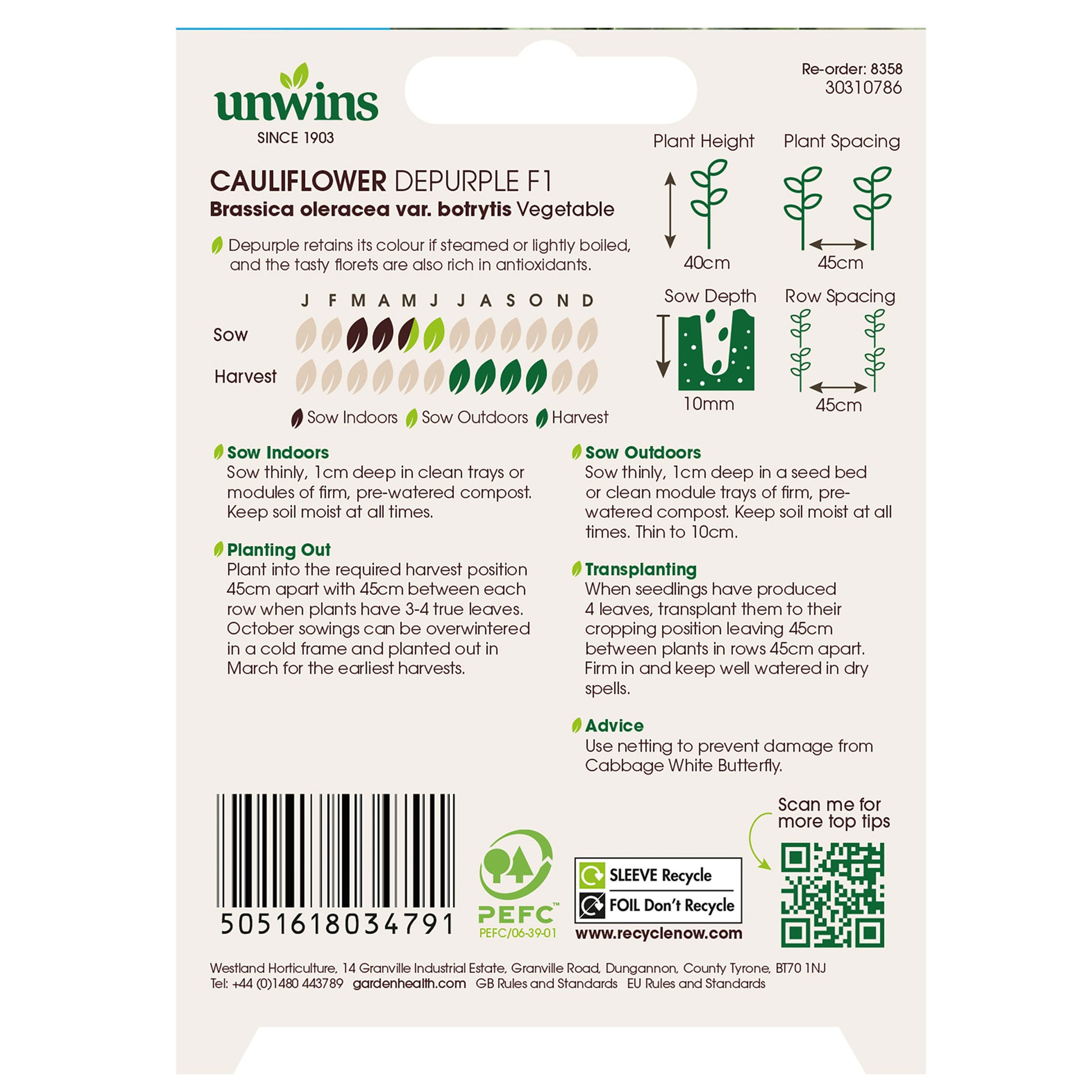 Cauliflower Depurple F1